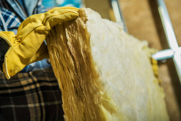 Best Eco-Friendly Insulation in Loris, SC