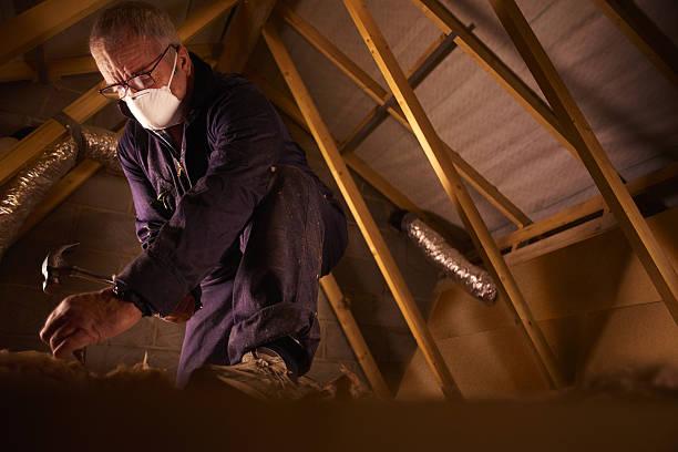 Best Cellulose Insulation in Loris, SC